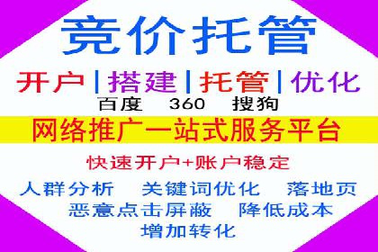 竞价推广中的移动端优化策略：基于移动用户的成功案例